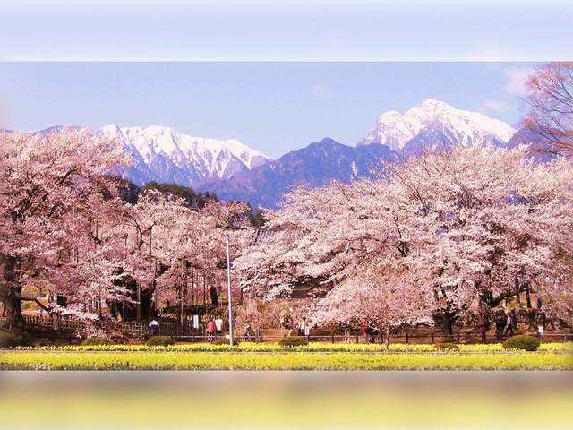 让清明小假期变得更完美