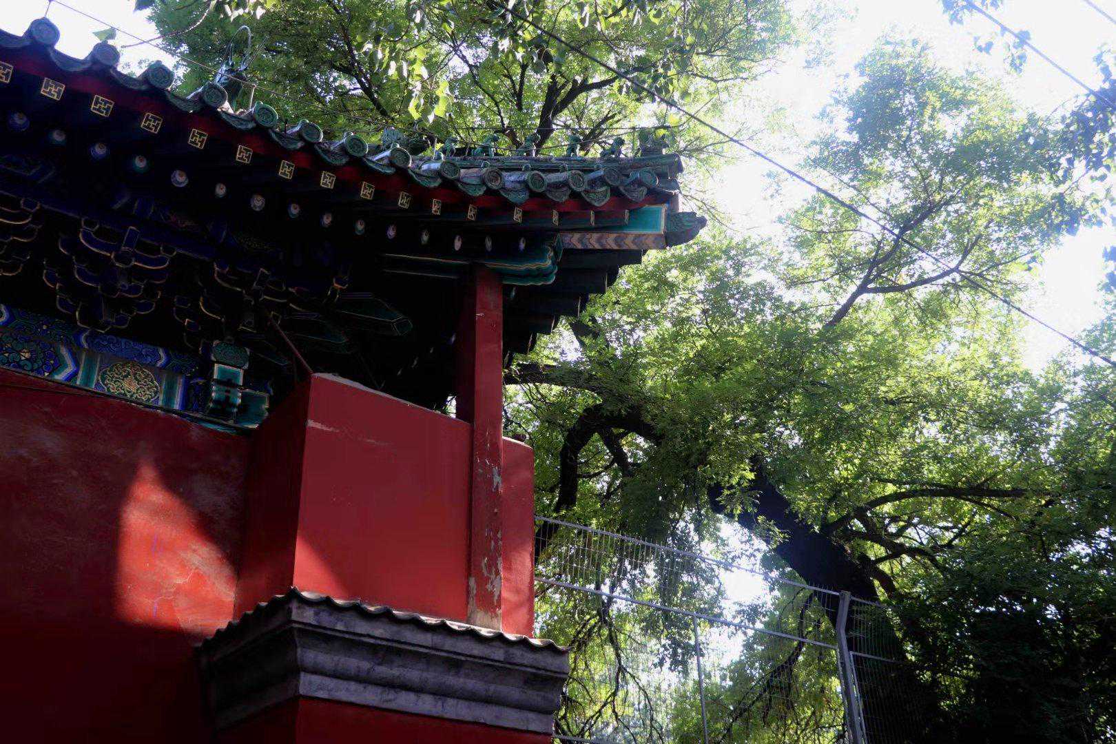 国庆假期玩转北京攻略丨四合院民宿推荐