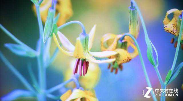 2018年哪款手机拍照效果最好？这六款!行家的睿智之选！