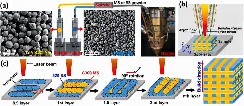 抗拉1.6GPa，延伸率8.1%！激光辅助增材制造高强韧空间异质结构钢