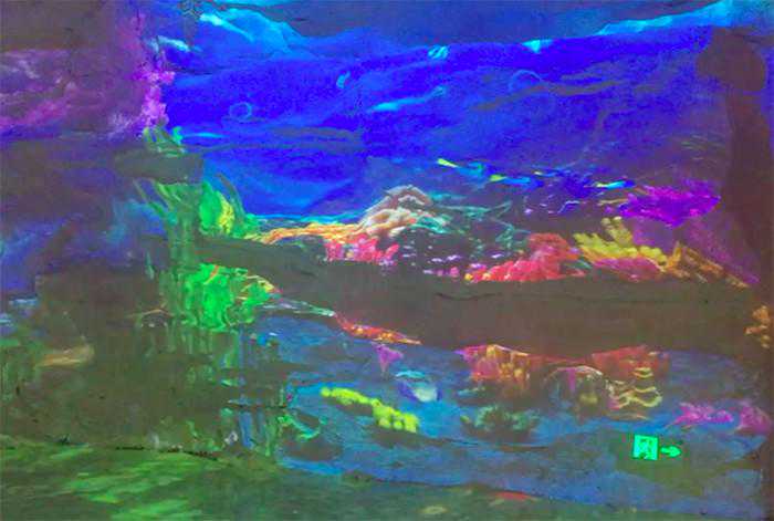 NEC投影机“潜入”海洋馆 春节西双版纳再添打卡圣地