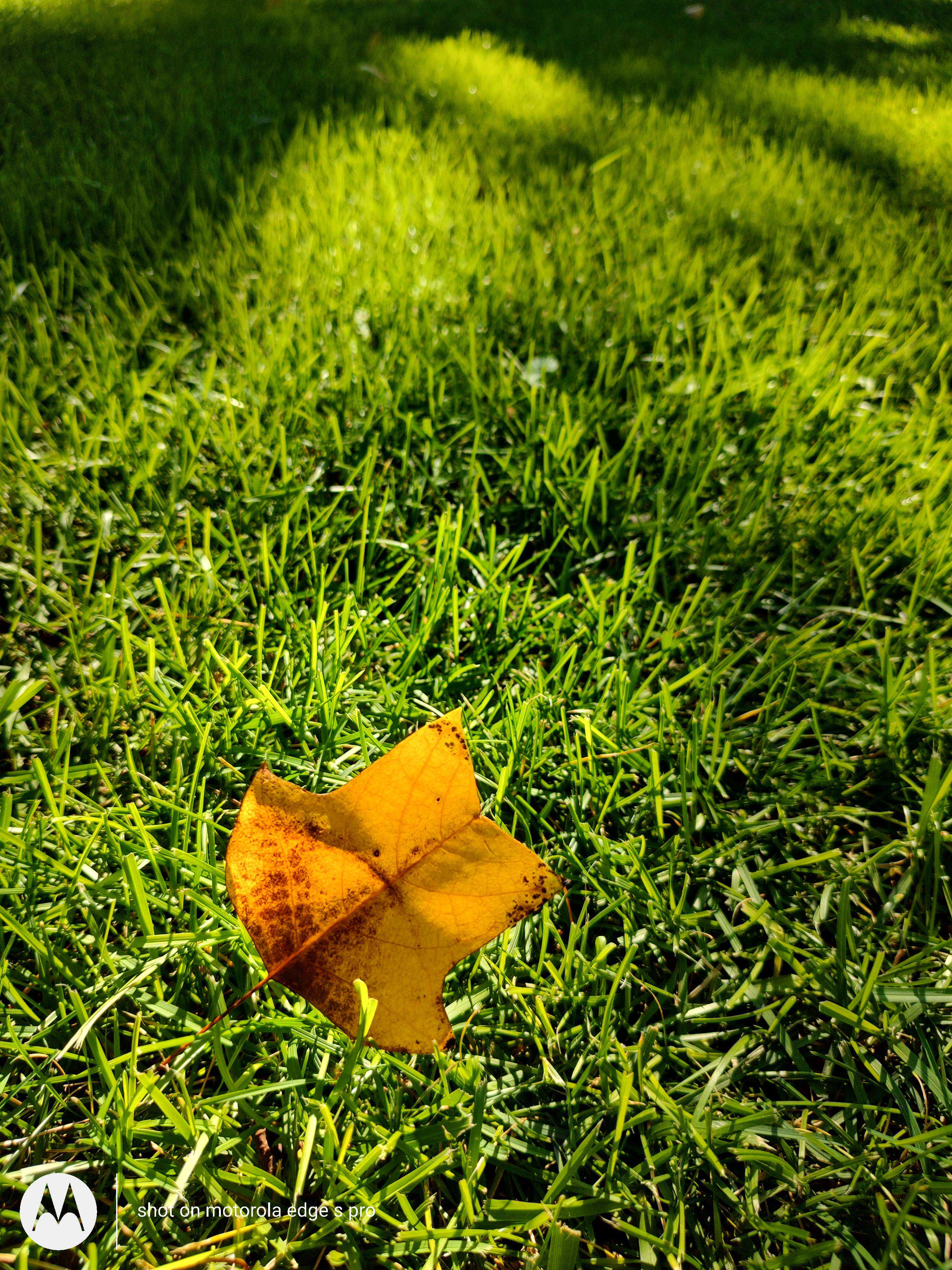 不愿相信？19组对比：两千多元Moto压制9千多元iPhone, 谁有问题？