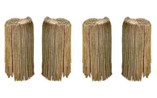 苹果何时可以用上富士康-夏普的OLED屏幕？