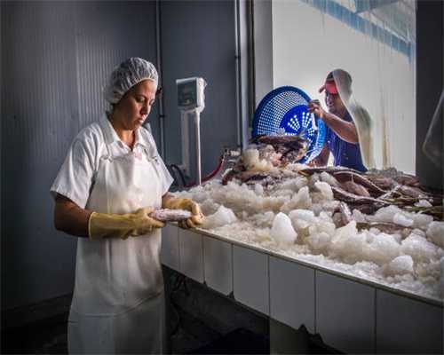 【专题】市面主流4K HDR家用投影机-芯片技术与焦点机型分析