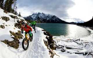 从2200元左右到3300元，三款65英寸电视让我们看清差异在哪