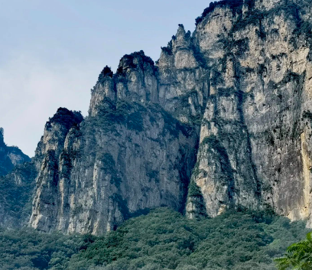 大眼橙投影亮相2024上海国际酒店展，荣获“最受酒店欢迎供应商奖”