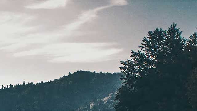 中考满分作文：破茧